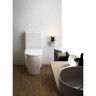 Унитаз напольный LAUFEN KARTELL 660 x 370 x 440 mm, для монтажа с бачком 8.2433.1.000.000.1